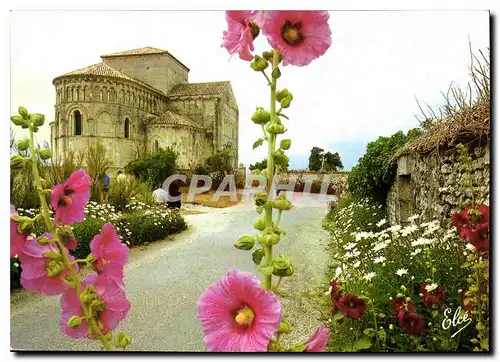 Cartes postales moderne Talmont L'Eglise romane XII siecle avec des roses tremieres