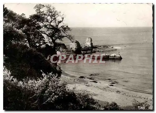 Cartes postales moderne Corniche de Saint George de Didonne Royan Vallieres