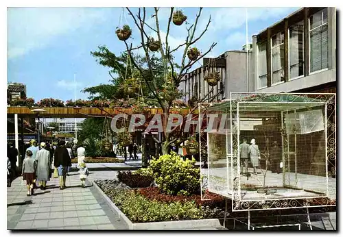 Cartes postales moderne Rotterdam Holland lijnbaan shopping promenade