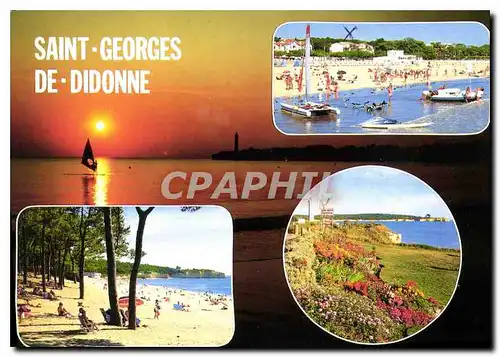 Cartes postales moderne Saint Georges de Didonne