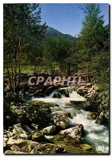 Cartes postales moderne Torrent Pyreneen le Cady