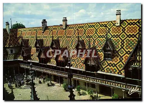 Cartes postales moderne Au Pays des Grands Crus Beaune Cote d'Or