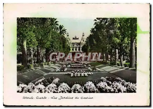 Cartes postales moderne La Principaute de Monaco Monte Carlo les Jardins du Casino