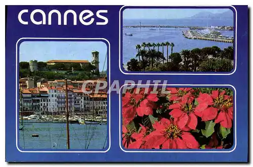 Cartes postales moderne Cannes