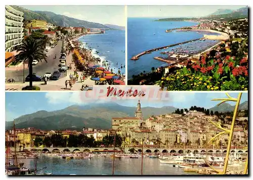 Cartes postales moderne La Cote d'Azur Menton Perle de France Boulevard General Leclerc Vue generale Le port et la Vieil