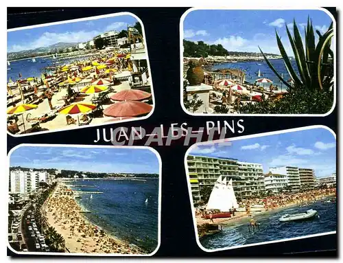 Cartes postales moderne Juan les Pins Alpes Maritimes Souvenir de Juan les Pins