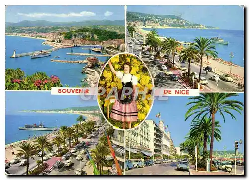 Cartes postales moderne Souvenir de Nice