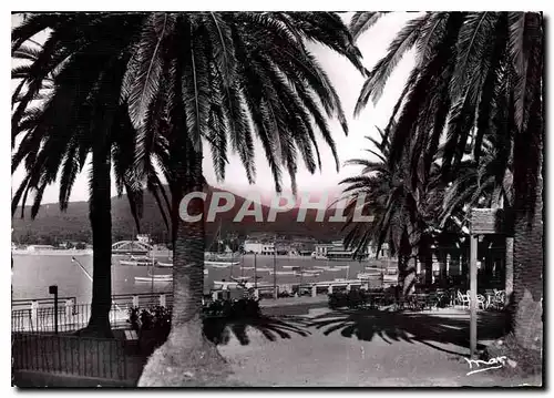 Cartes postales moderne La Cote d'Azur Ste Maxime sur Mer Vue prise de la Place des Palmiers