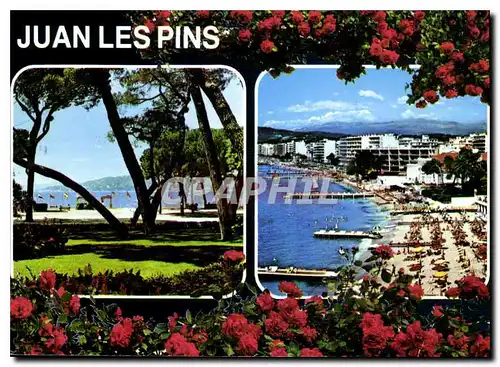 Moderne Karte Souvenir Juan les Pins