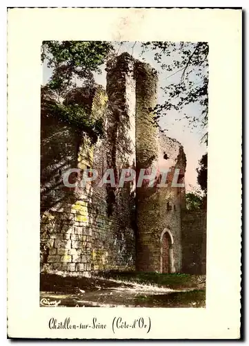 Moderne Karte Chatillon sur Seine Cote d'Or Ruines du Chateau des Ducs de Bourgogne detruit sous Henri IV