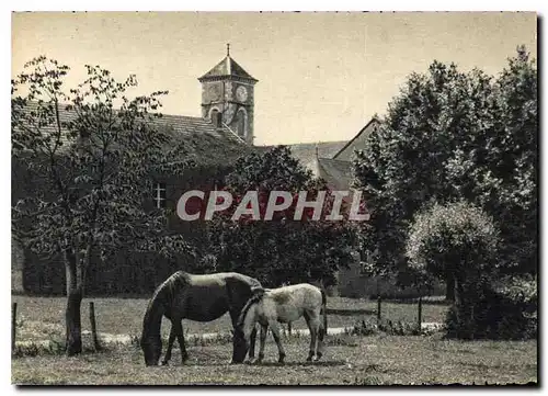 Cartes postales moderne Abbaye de ND de Citeaux par Nuits Saint Georges Cote d'Or