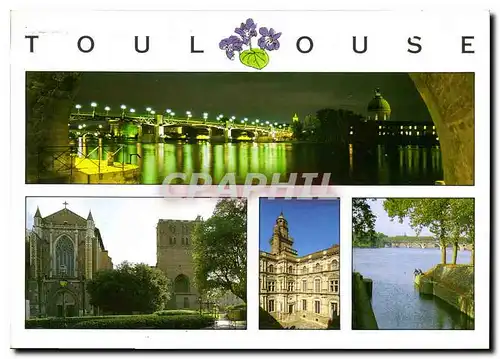 Cartes postales moderne Toulouse La Garonne au pont St Pierre