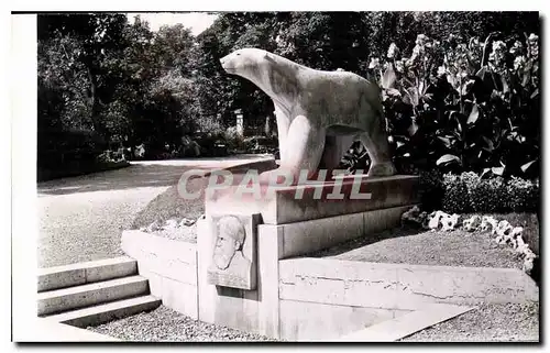 Cartes postales moderne Dijon Cote d'Or Promenade Darcy L'Ours de Pompon