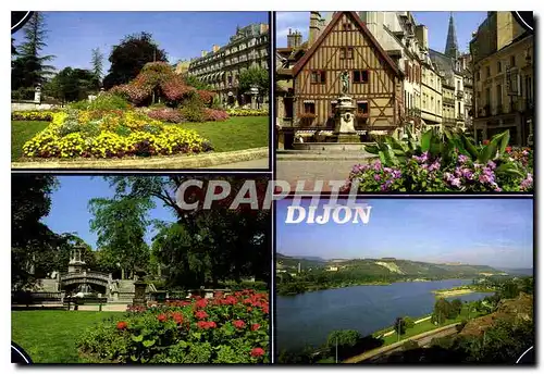 Cartes postales moderne Dijon Cote d'Or Place Darcy Le Bareuzai Jardin Darcy Lac Kir