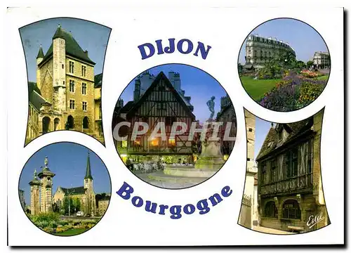 Cartes postales moderne Dijon Cote d'Or Palais des ducs de Bourgogne