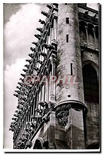 Cartes postales moderne Dijon Cote d'Or Eglise Notre Dame Les Chimeres