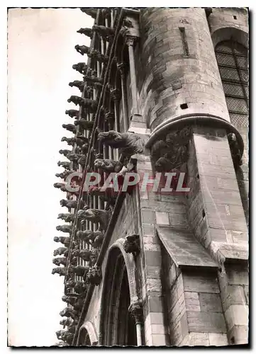 Cartes postales moderne Dijon Les Chimeres Eglise Notre Dame