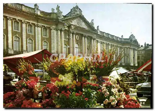 Cartes postales moderne Toulouse La Ville Rose Le Marche aux Fleurs sur la Place du Capitole