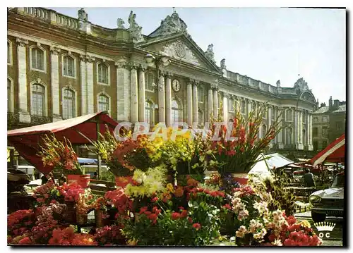 Moderne Karte Toulouse La Ville Rose Le Marche aux Fleurs sur la Place du Capitole