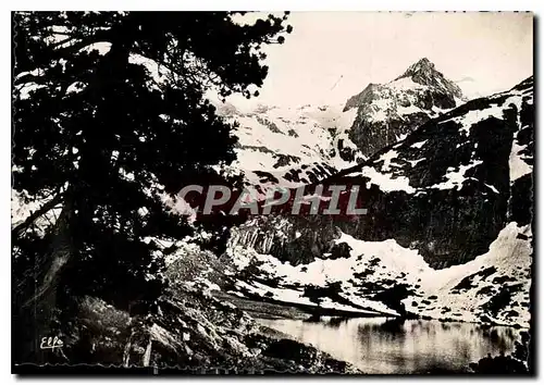 Cartes postales moderne Luchon Le Lac d'Espingo et la Tusse de Montarque