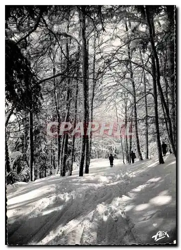 Moderne Karte Les Pyrenees Luchon Superbagneres La Foret enneigee