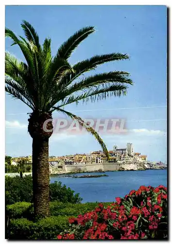 Cartes postales moderne La Cote d'Azur Antibes Vue sur les Remparts