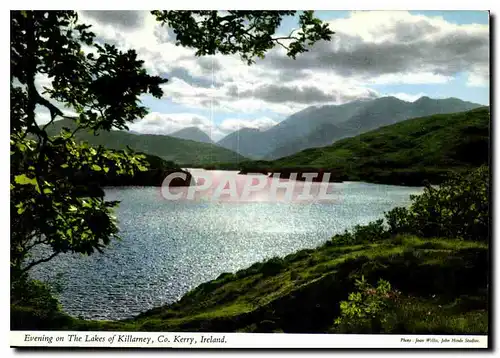 Cartes postales moderne Evening on the Lakes of Killarney Co Kerry Ireland