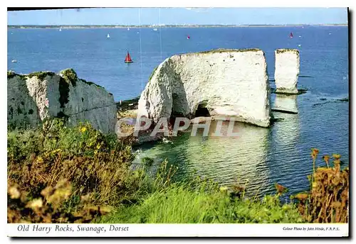 Moderne Karte Old Harry Rocks Swanage Dorset