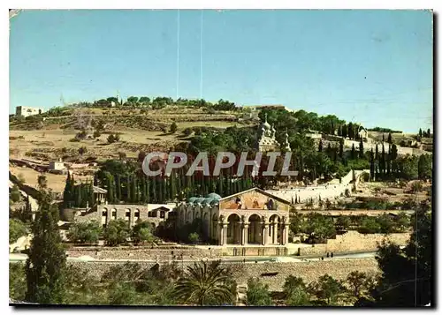 Cartes postales moderne General view of Gethsemane