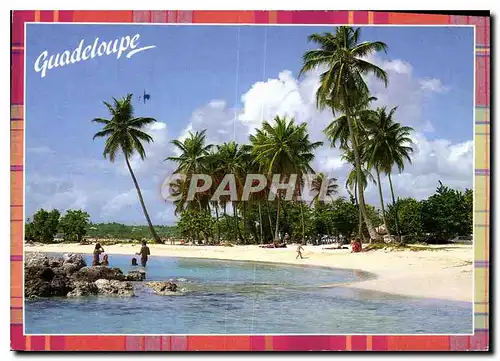 Cartes postales moderne Les Productions de l'Ile Guadeloupe