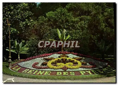 Cartes postales moderne Luchon Parterre fleuri dans le Parc du Casino