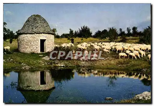 Cartes postales moderne En Quercy Sur le Causse de Gramat Pres d'Une caselle abri de berger elevage de moutons caussenar