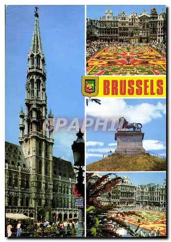 Cartes postales moderne Un Bonjour de Bruxelles Groeten uit Brussel