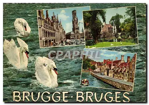 Moderne Karte Brugge Bruges