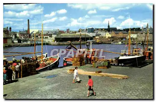 Cartes postales moderne Arbroath Harbour