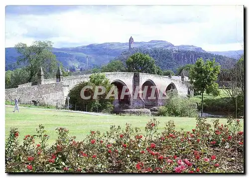 Cartes postales moderne A Hail Caledonia Product