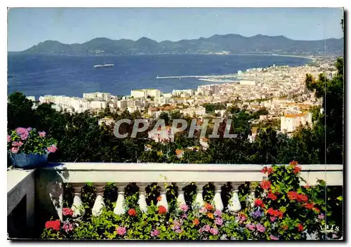 Cartes postales moderne Cannes AM Vue generale