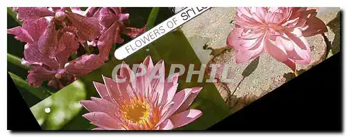 Cartes postales moderne Flowers Sri Lanka