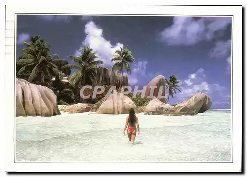 Cartes postales moderne Seychelles The Royal Cove The Breakwater
