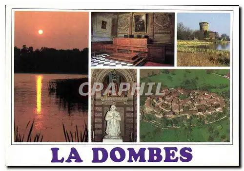 Cartes postales moderne La Dombes couchant sur un etang