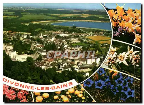 Cartes postales moderne Divonne les Bains Ain Vue generale