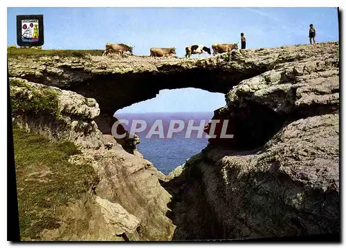 Cartes postales moderne Santander Puente del Diablo