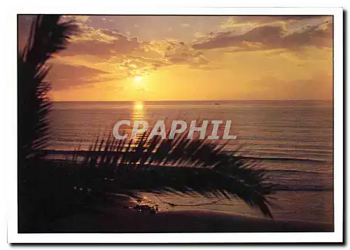 Cartes postales moderne Playas de las Americas Tenerife