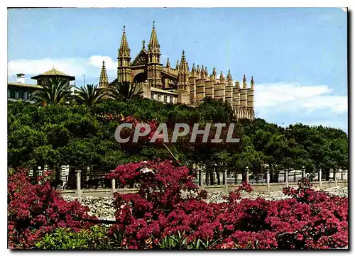 Cartes postales moderne Mallorca Baleares Espana