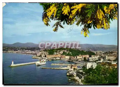 Cartes postales moderne Au soleil de la Cote d'Azur Vue generale de la ville prise du Mont Boron