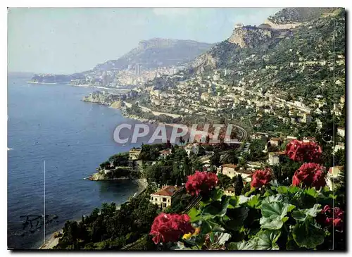 Cartes postales moderne Roquebrune Camp Martin Vue generale sur St Roman