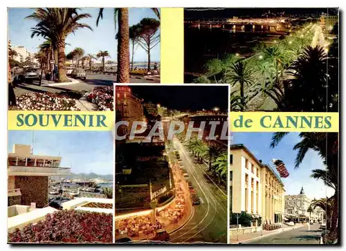 Cartes postales moderne Souvenir de Cannes Alpes Maritimes