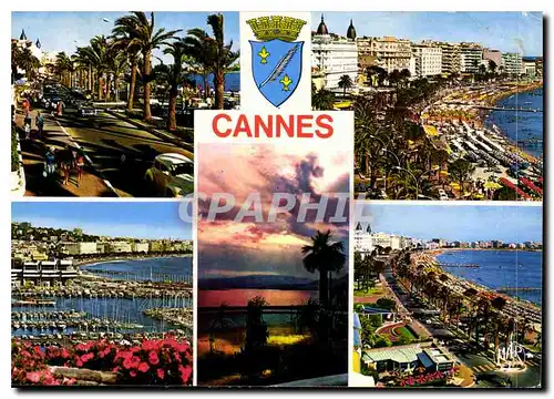 Cartes postales moderne Cannes La Cote d'Azur La Croisette