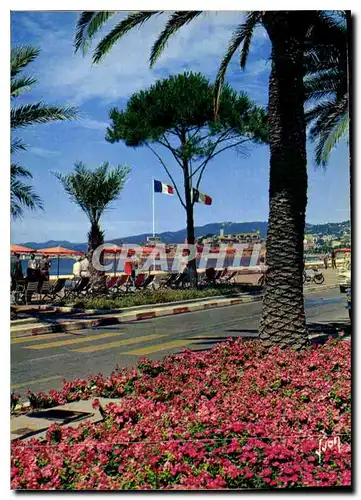 Cartes postales moderne Couleurs et lumiere de France la Cote d'Azur miracle de la nature Cannes Alpes Maritimes la croi