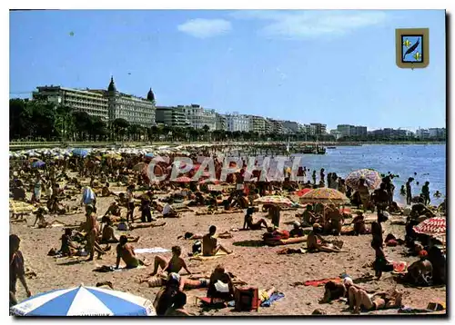 Cartes postales moderne Cannes Plage de la Croisette